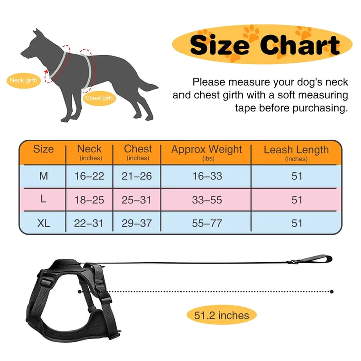 Comfy Walk Harness & Leash