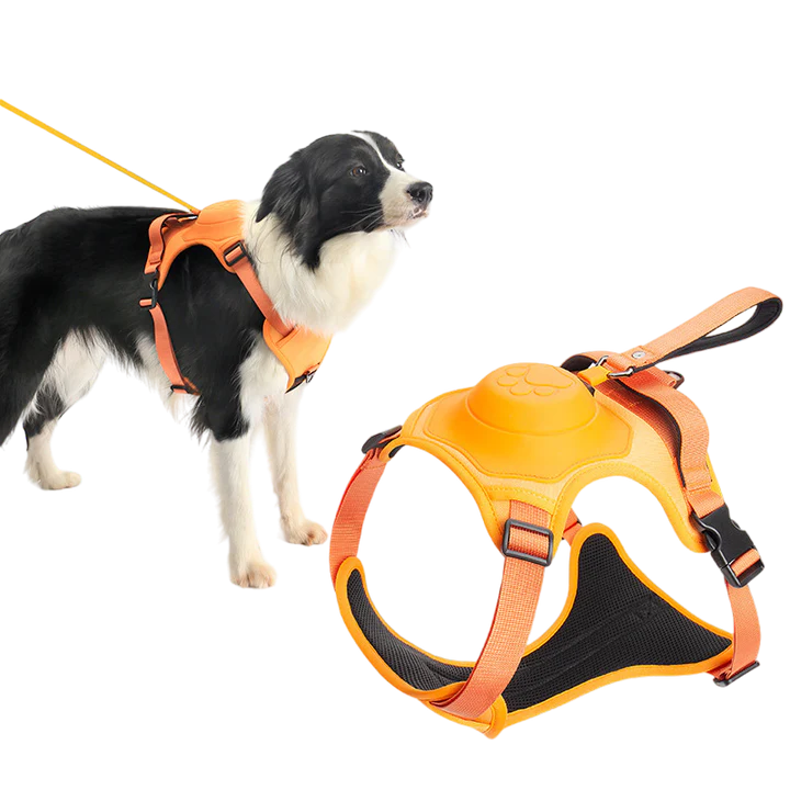 Comfy Walk Harness & Leash