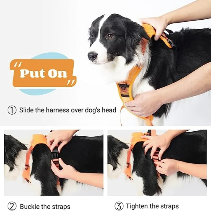 Comfy Walk Harness & Leash